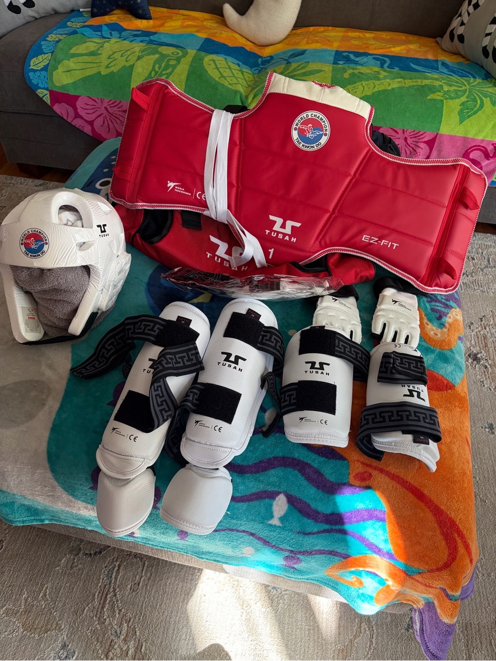 TUSAH Taekwondo Huge Lot Duffle Bag World Champion and Accessories Set Up